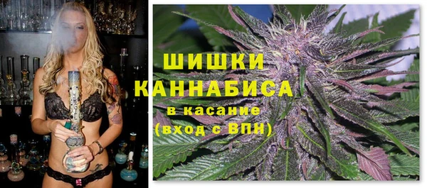 а пвп мука Алзамай