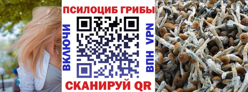 Галлюциногенные грибы Magic Shrooms  Навашино 